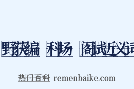 野获编·科场·阁试近义词是什么意思的图片